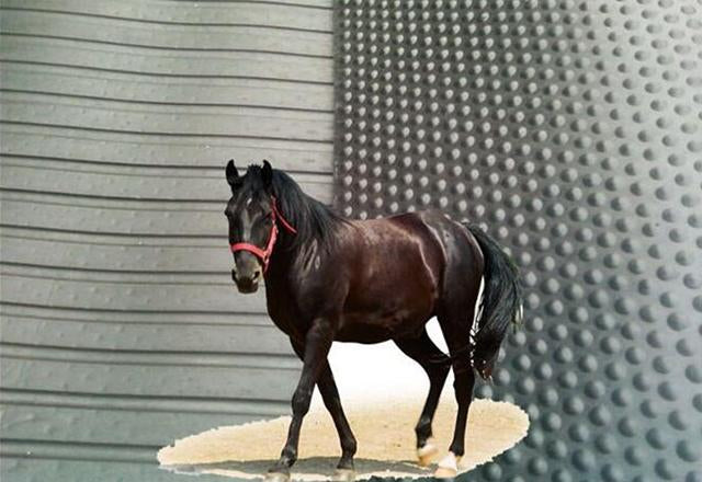 Stable Matting Rubber Horse Mats For Stables - Slip Not Co Uk