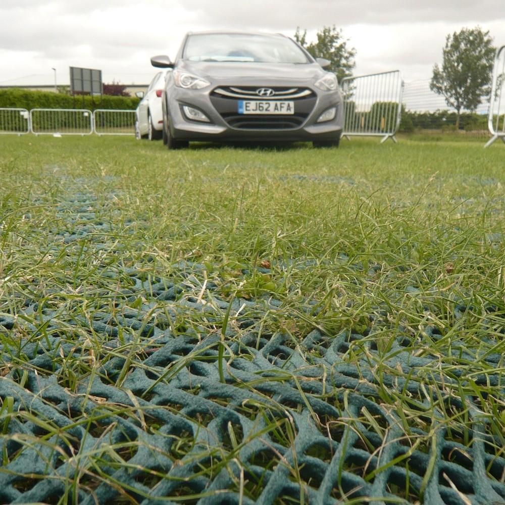 Grass Protection Mesh Standard - Slip Not Co Uk