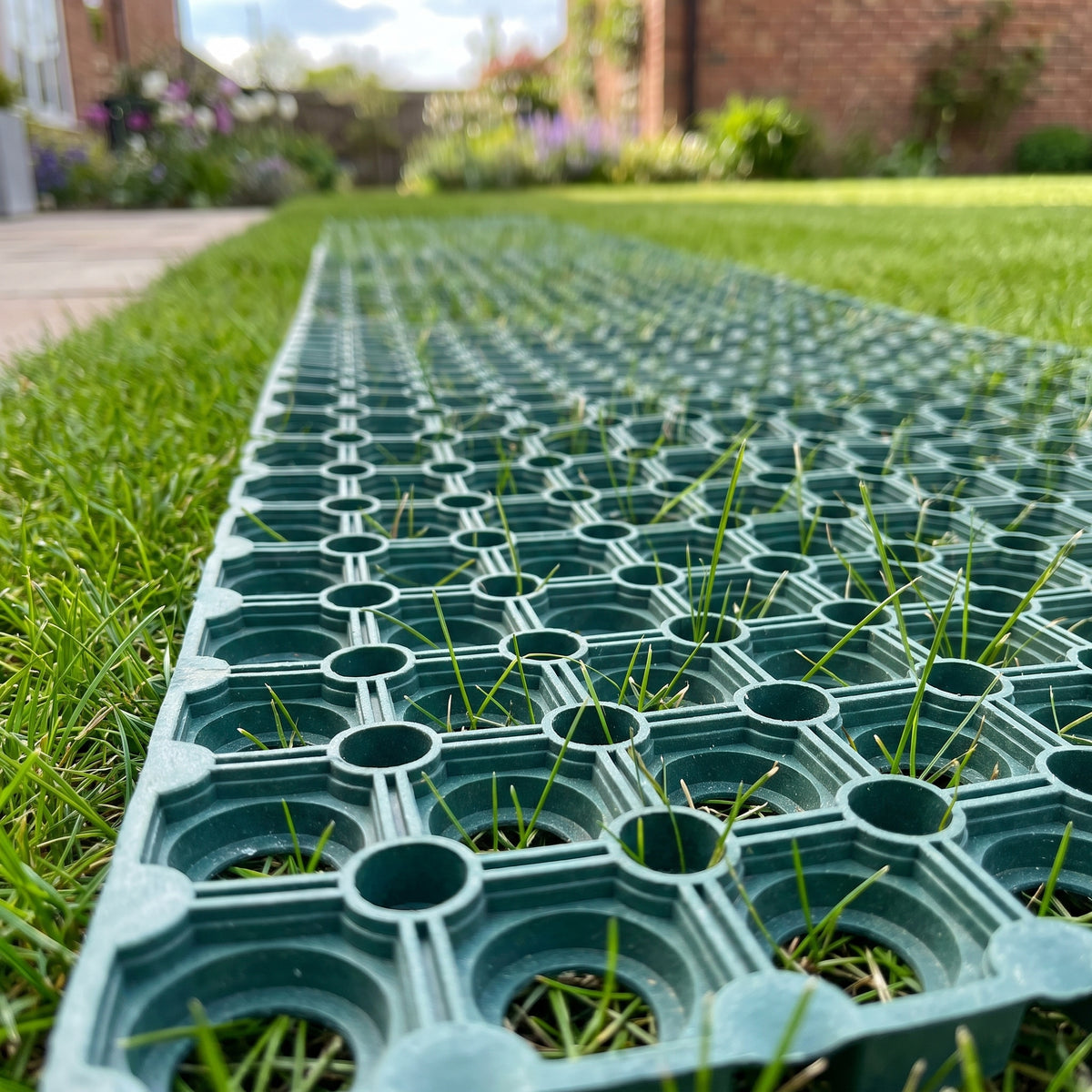 Close-up of a green 22mm rubber grass mat on a garden lawn, with grass growing up through the open-ring holes