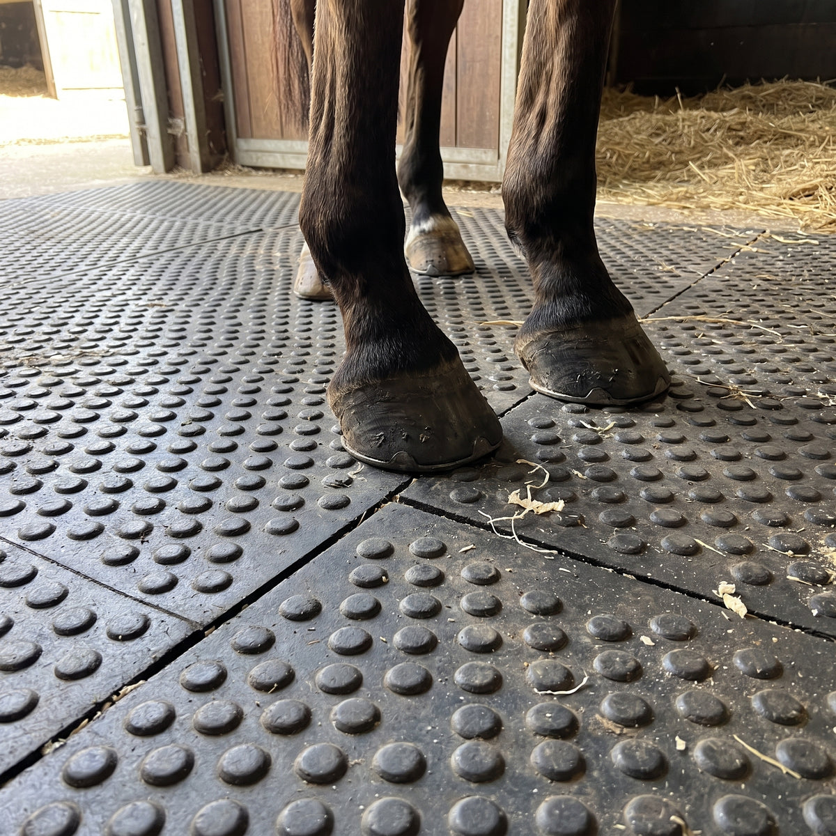 Close-up of a horse's shod hooves standing on bubble-top rubber stable mats, showing the large domed studs that give grip