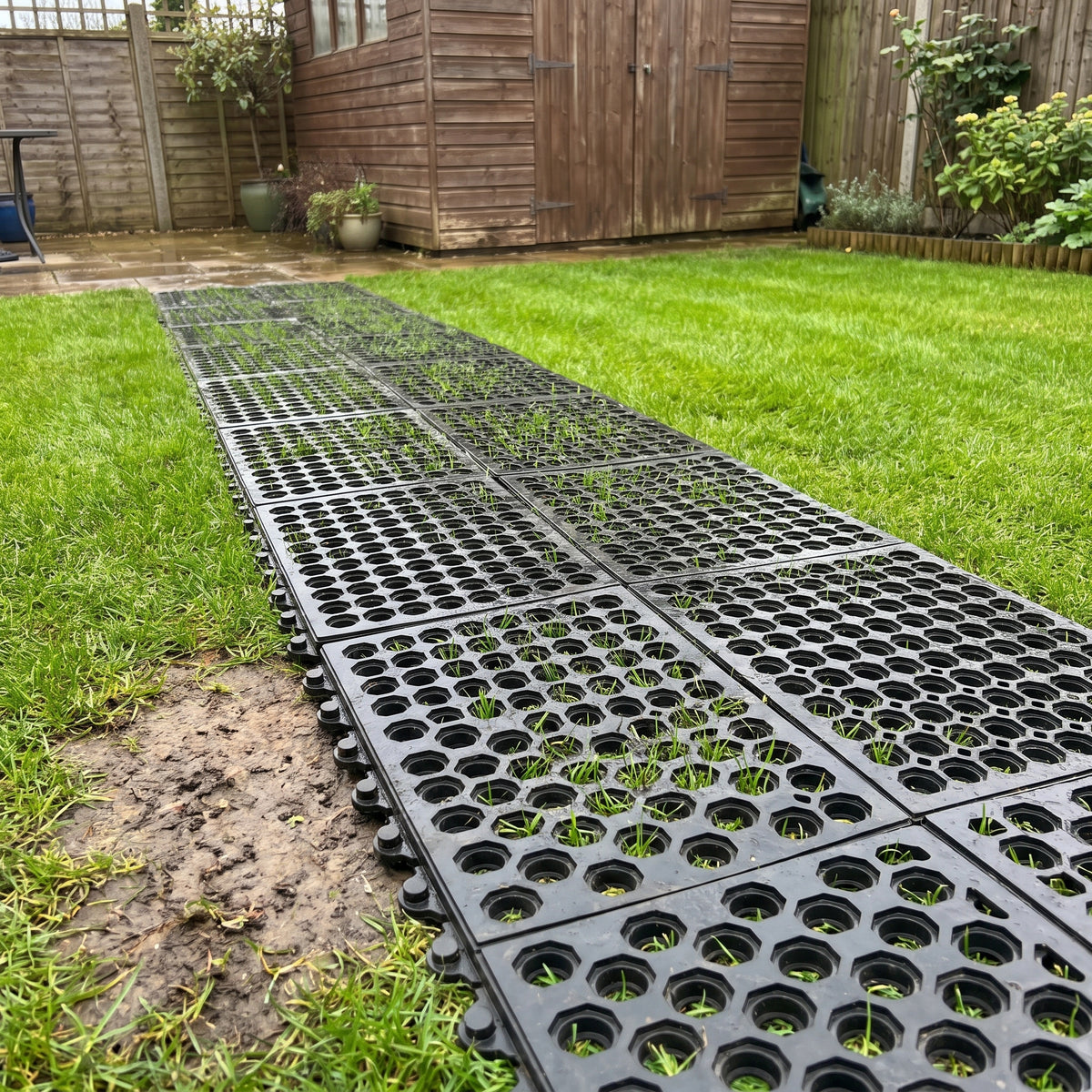 Interlocking rubber grass mats laid as a garden path across a lawn, with grass growing up through the holes beside a muddy worn patch