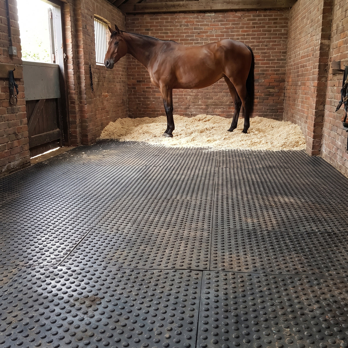 6ft x 4ft rubber stable mats laid wall to wall, bubble side up, in a brick loose box with a bay horse standing on a light bed of shavings