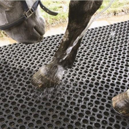 Horse's leg being hosed while standing on an open-hole rubber mat, with the water draining straight through the holes